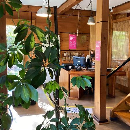 Hotel Truyaca Osorno Dış mekan fotoğraf