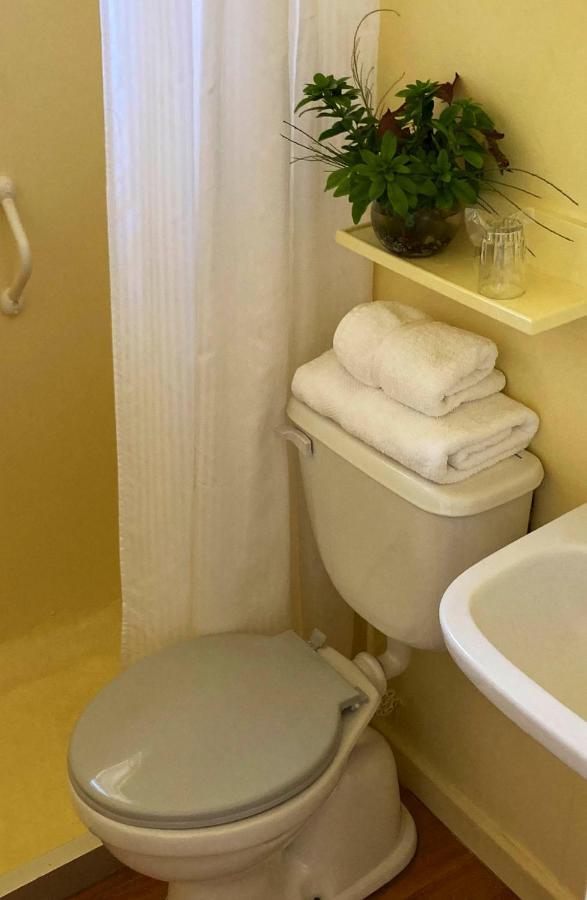 Hotel Truyaca Osorno Dış mekan fotoğraf